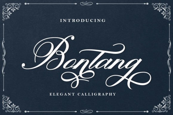 Bontang: A Dazzling Script Font for Your Brand