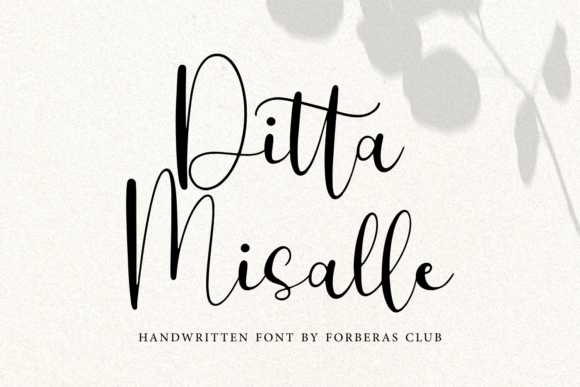 Ditta Misalle: A Stylish Script Font for Modern Web Design
